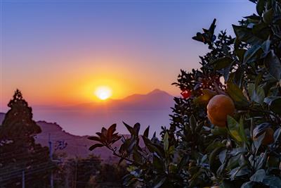 二つのオレンジ