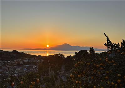 みかん畑と有明海に沈む夕日