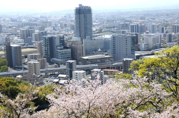 80　No50-2 桜と新幹線