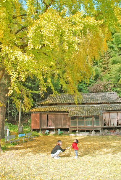 73★ 大きなイチョウの木の下で（大渡）