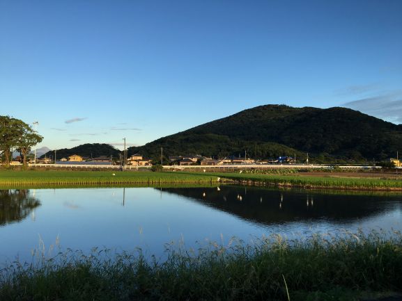 108★ 水田（清水）