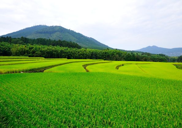 4★山麓の棚田（石井）