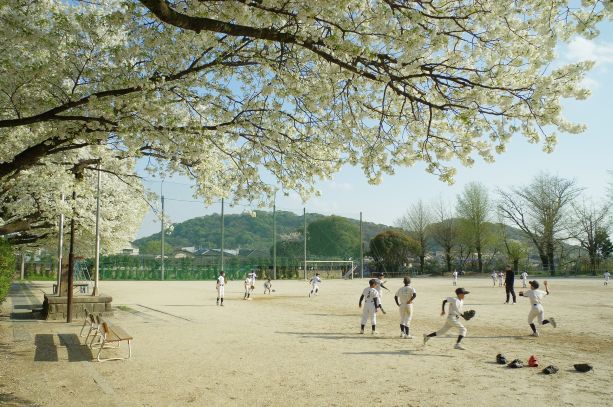 44★咲き誇る千原桜のもとで（宮部）